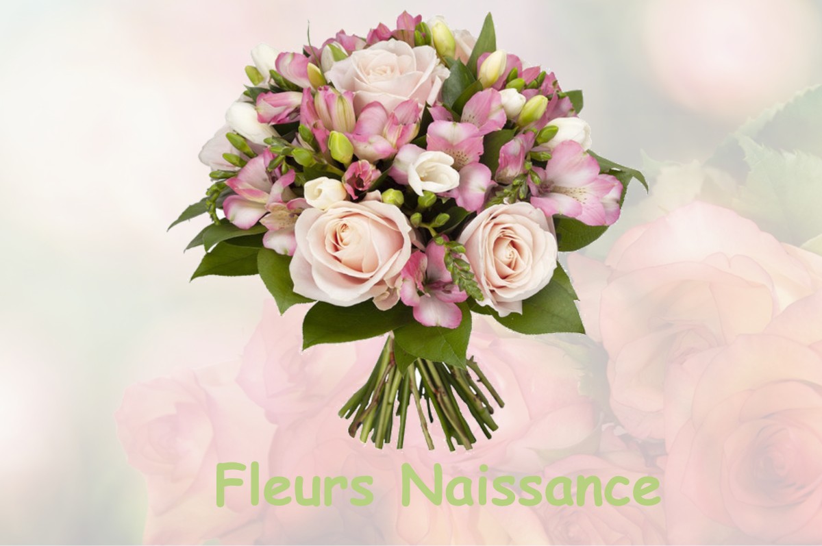 fleurs naissance SAINT-MAUR-DES-BOIS